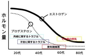 エストロゲンとプロゲステロンの女性ホルモン分泌量